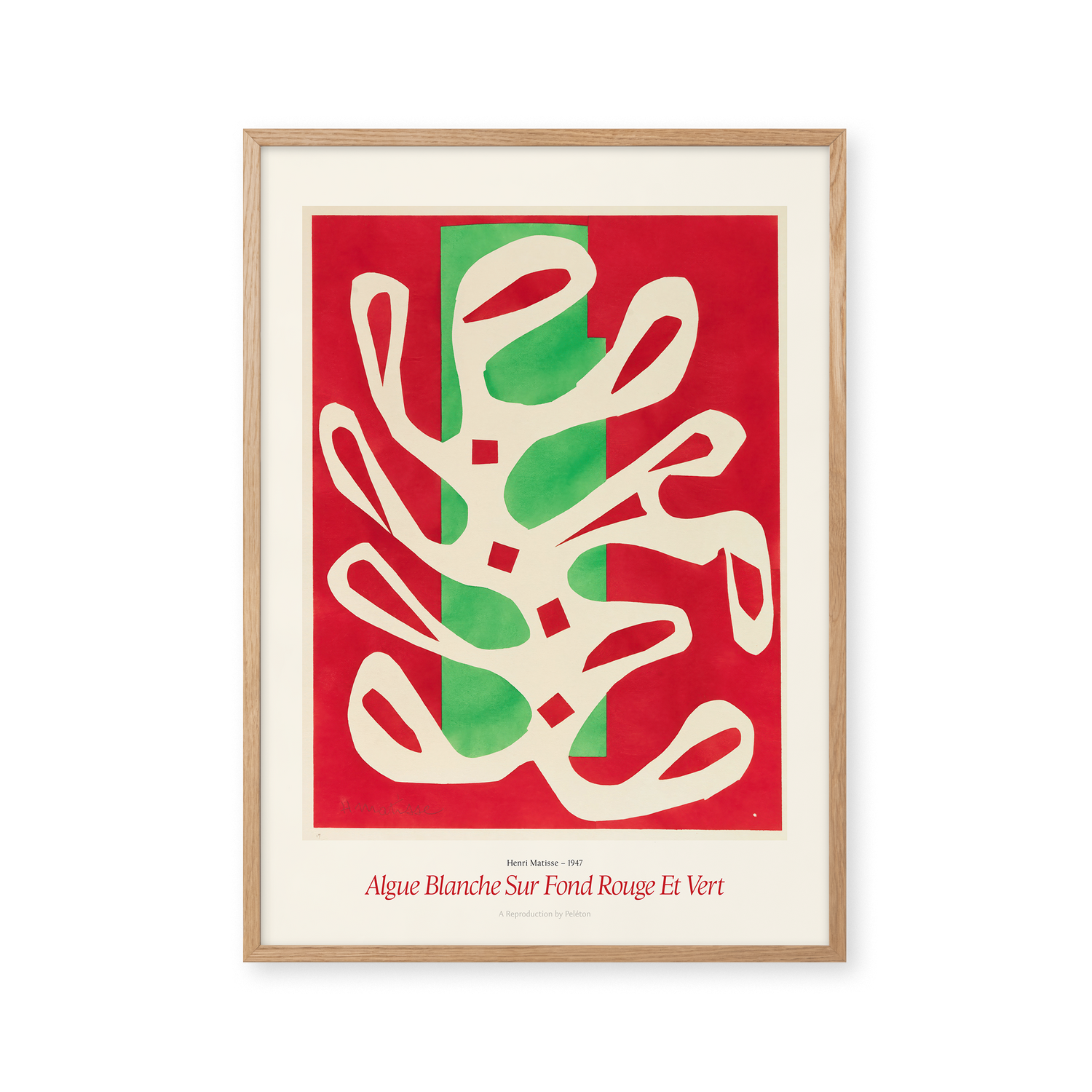 Algue Blanche Sur Fond Rouge Et Vert