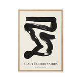 Beautes Ordinaires - Le pélican noir