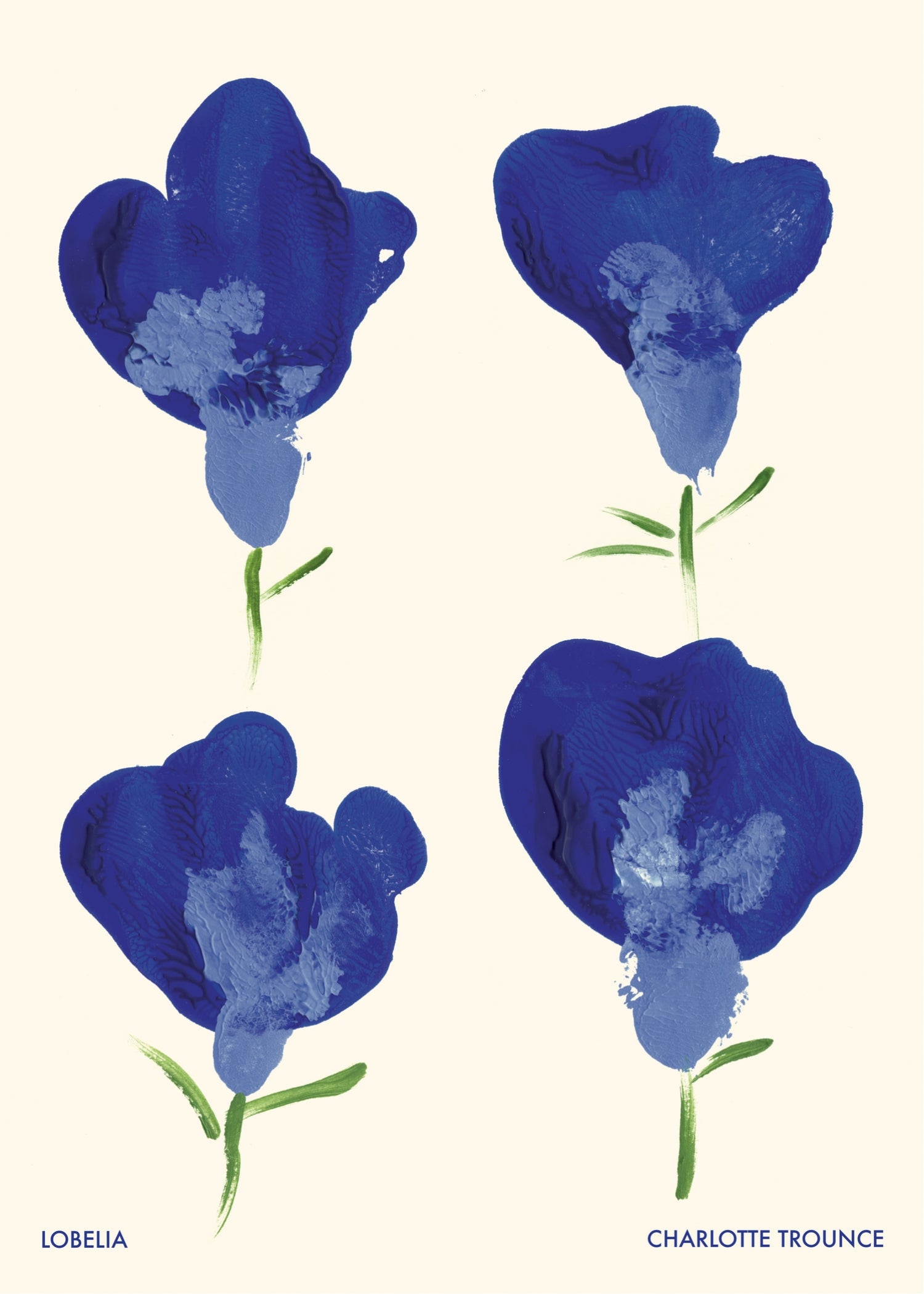 Lobelia