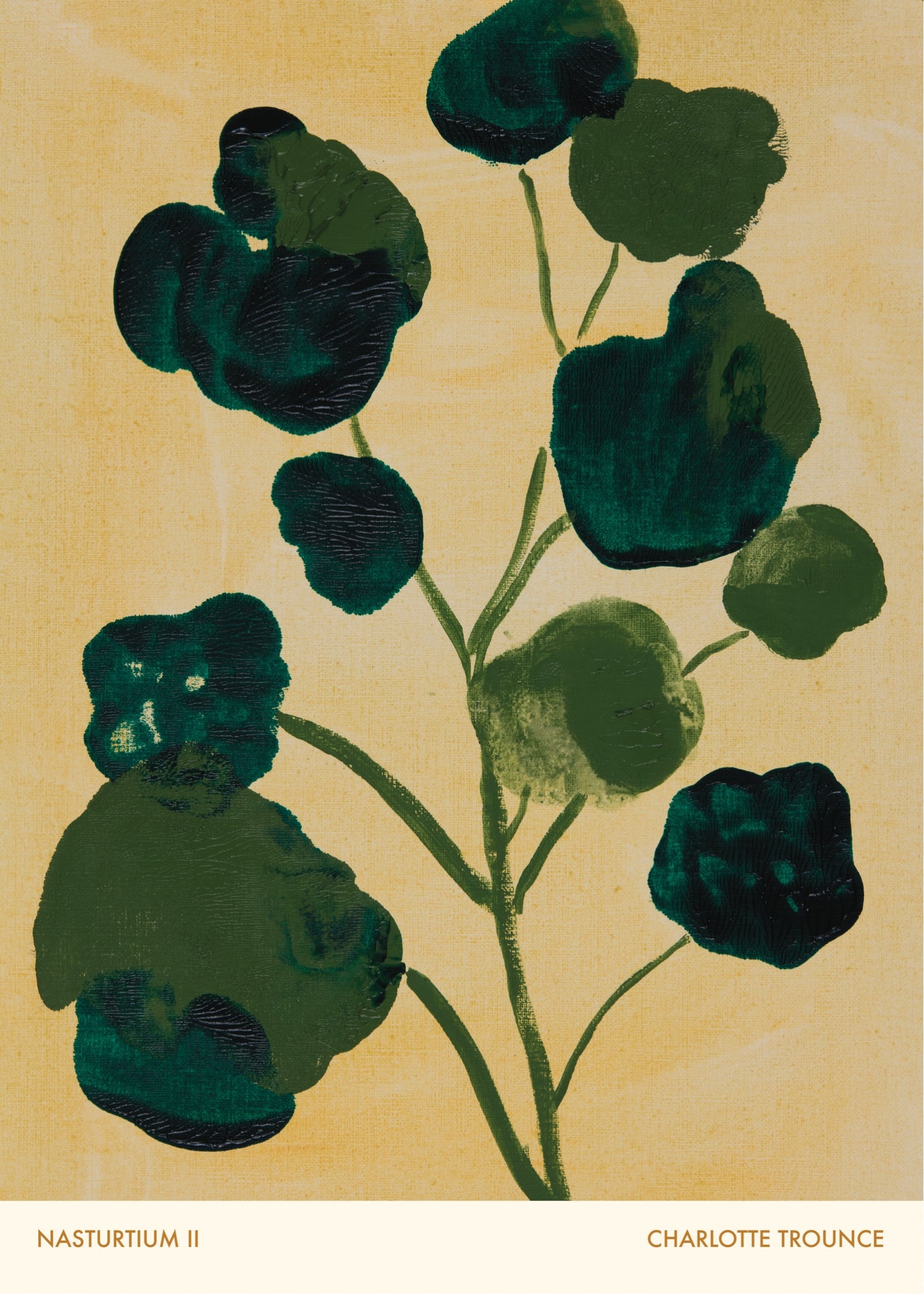 Nasturtium II