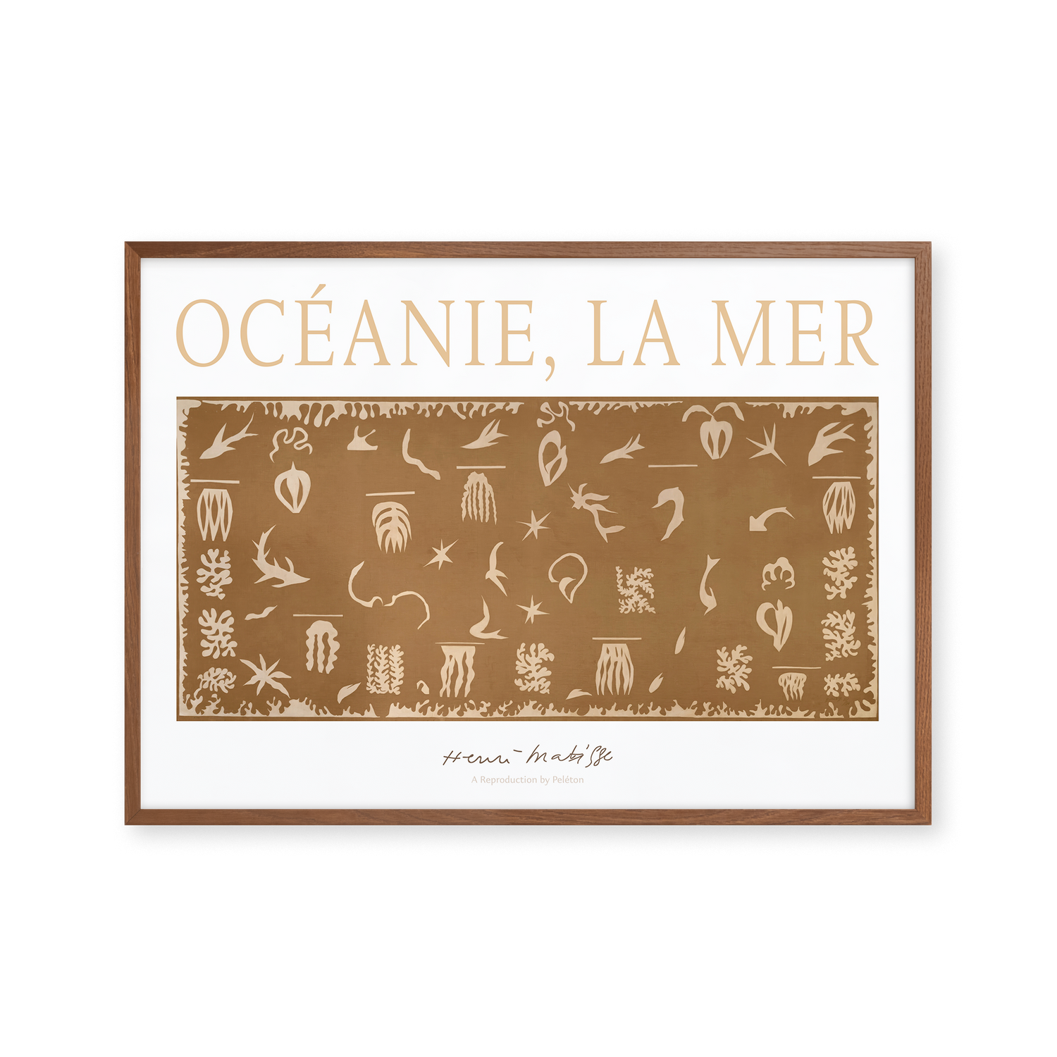 Océanie, la mer