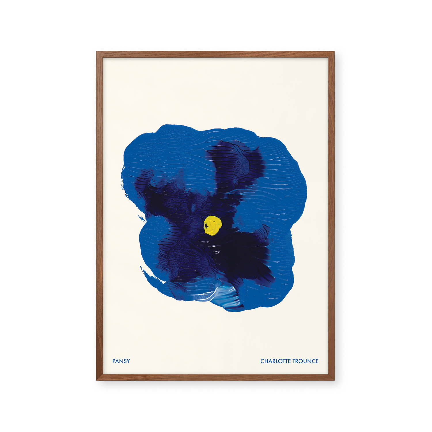 Pansy