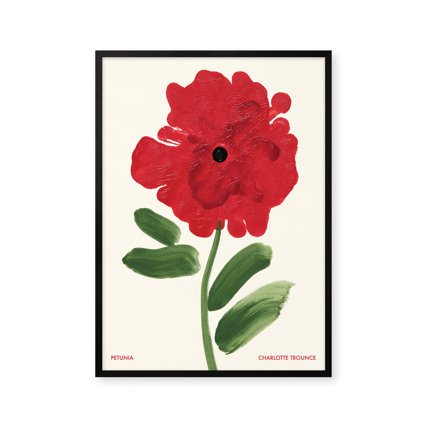 Petunia