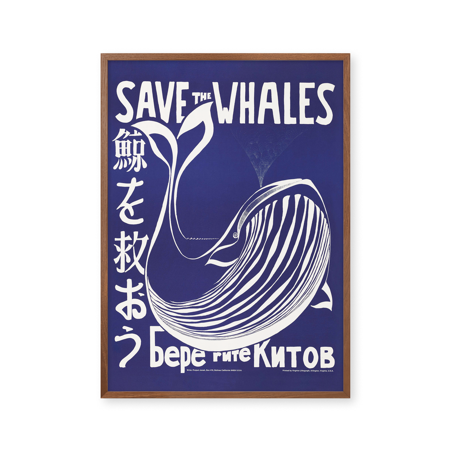 Save the Whales