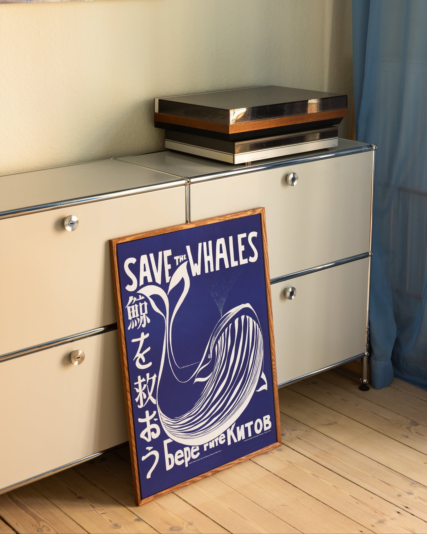 Save the Whales
