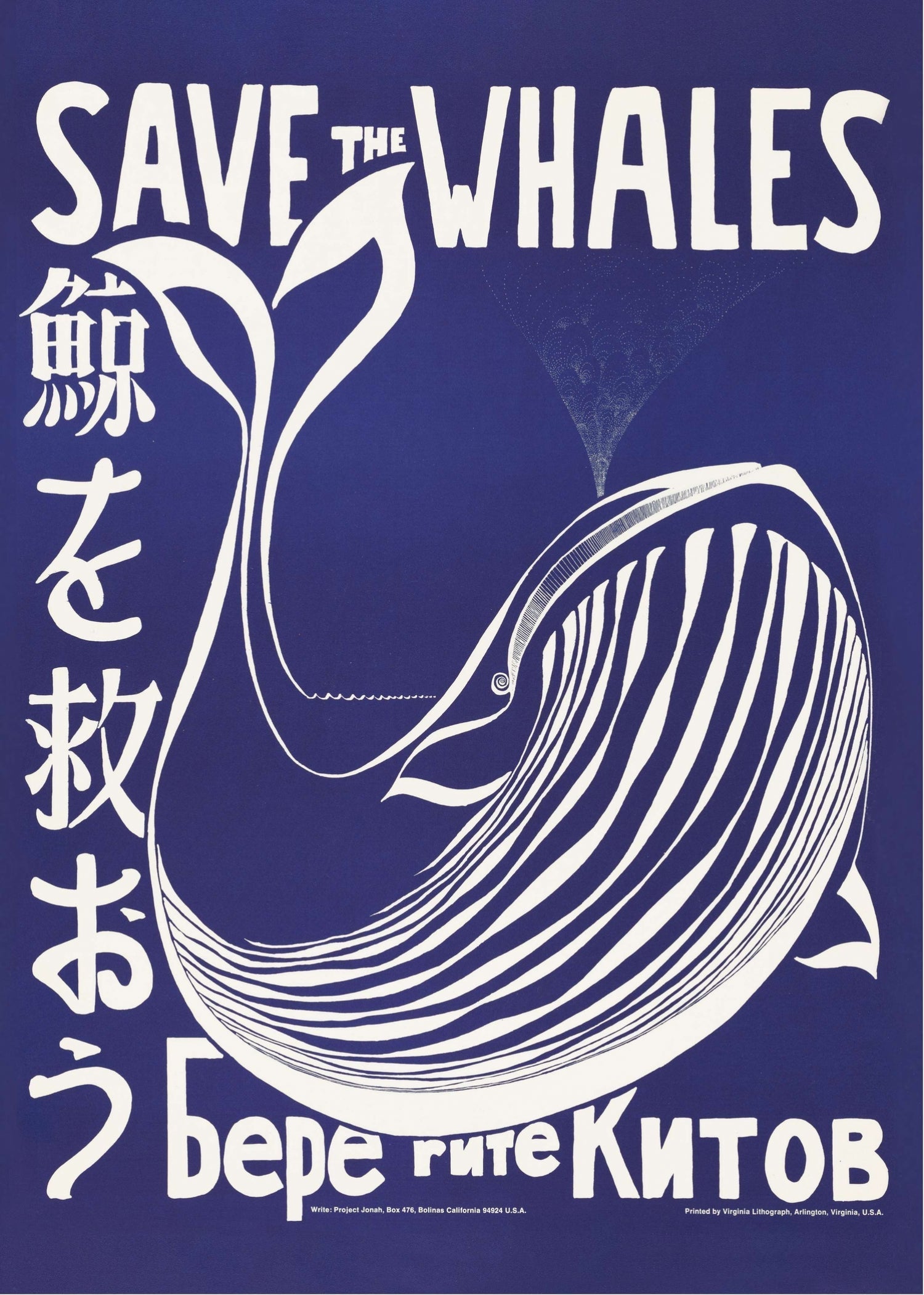 Save the Whales