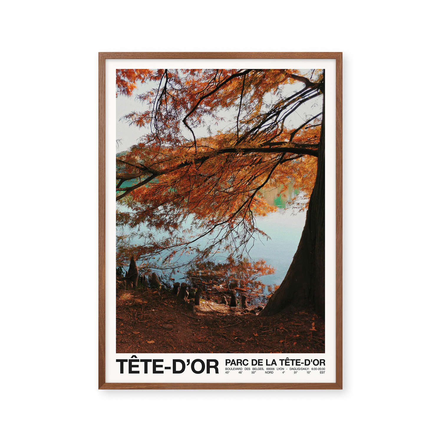 Tete D’or