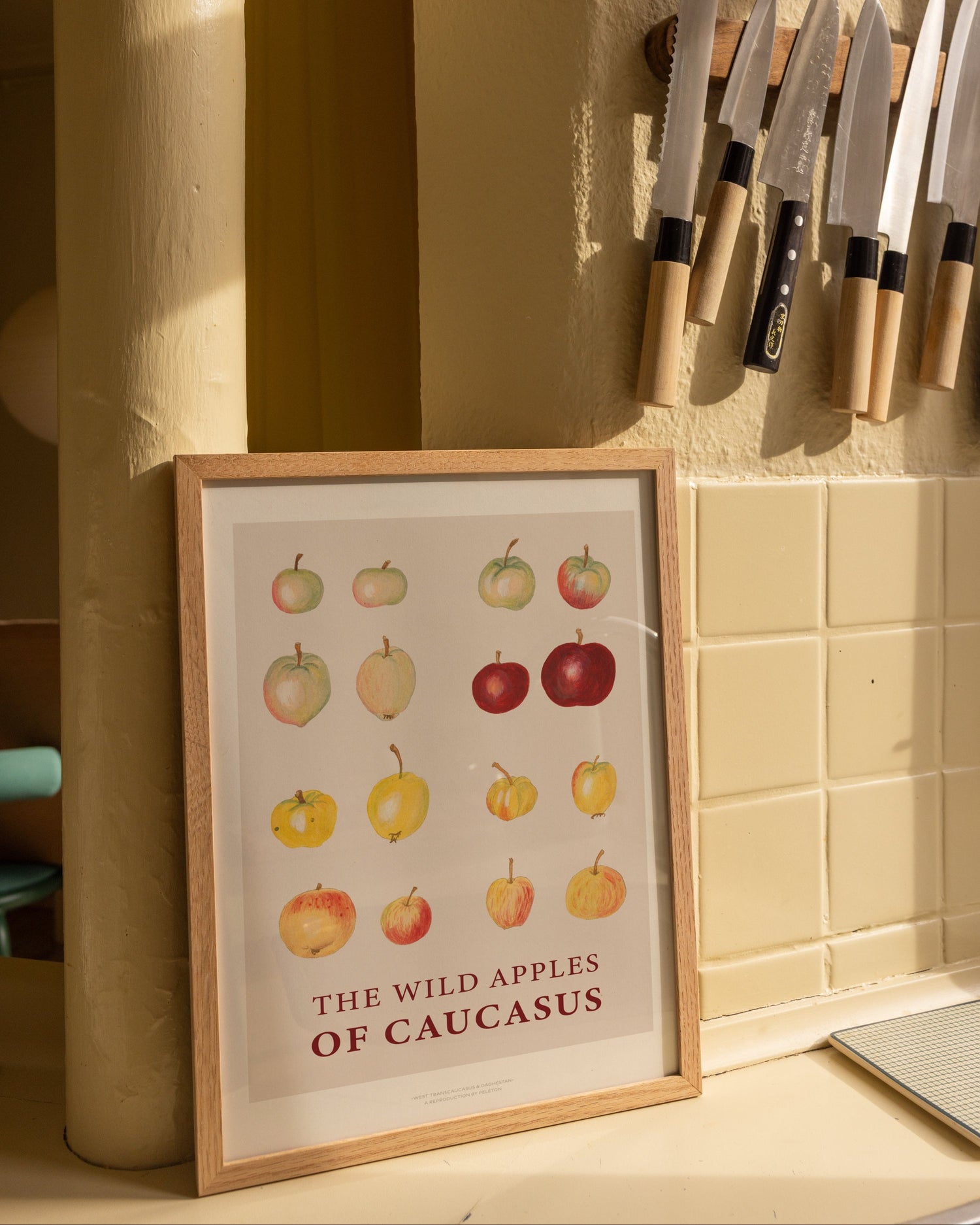 The Wild Apples Of Caucasus