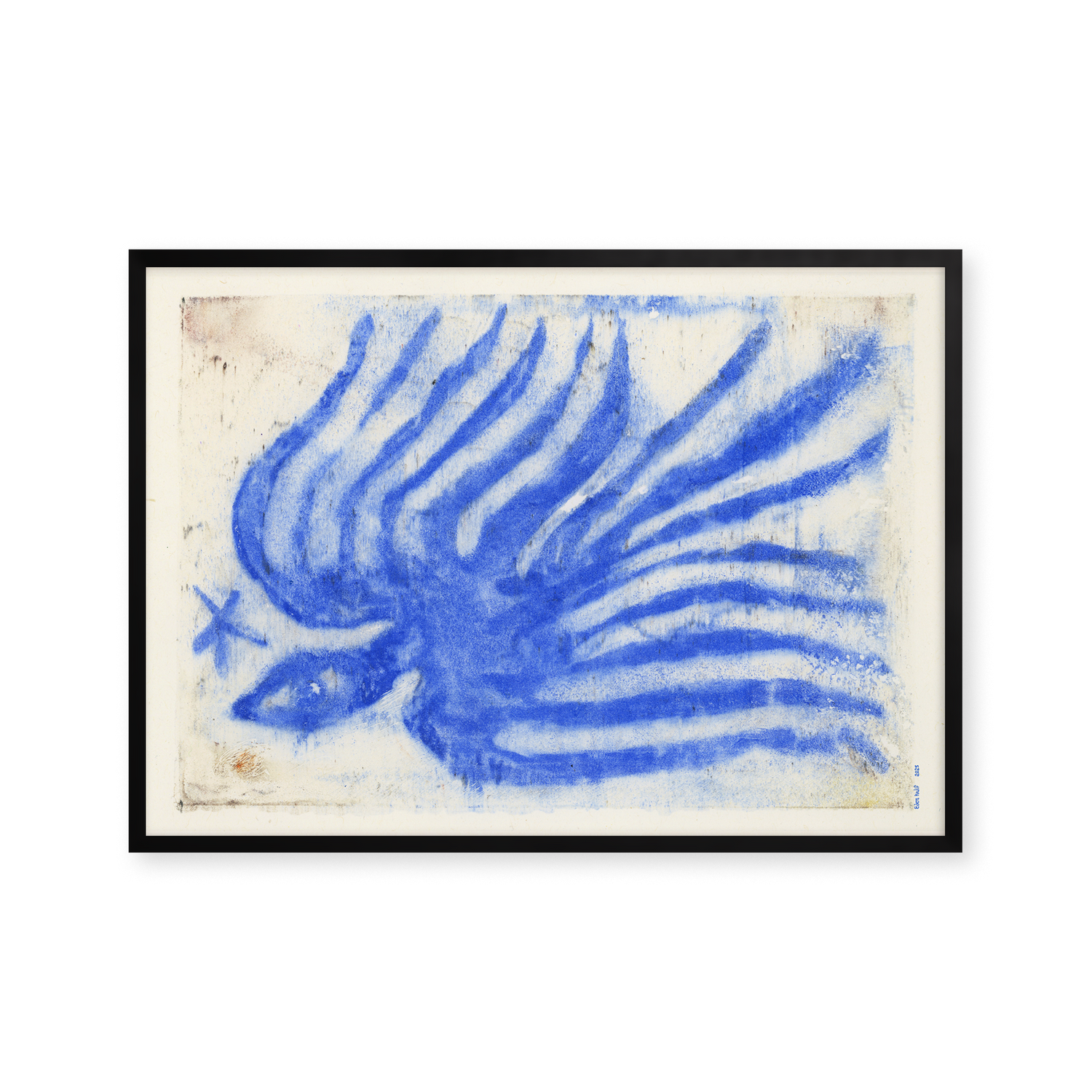 Blue Bird