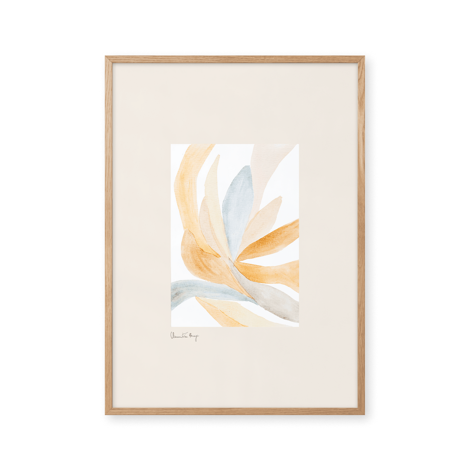 Contour - Orange