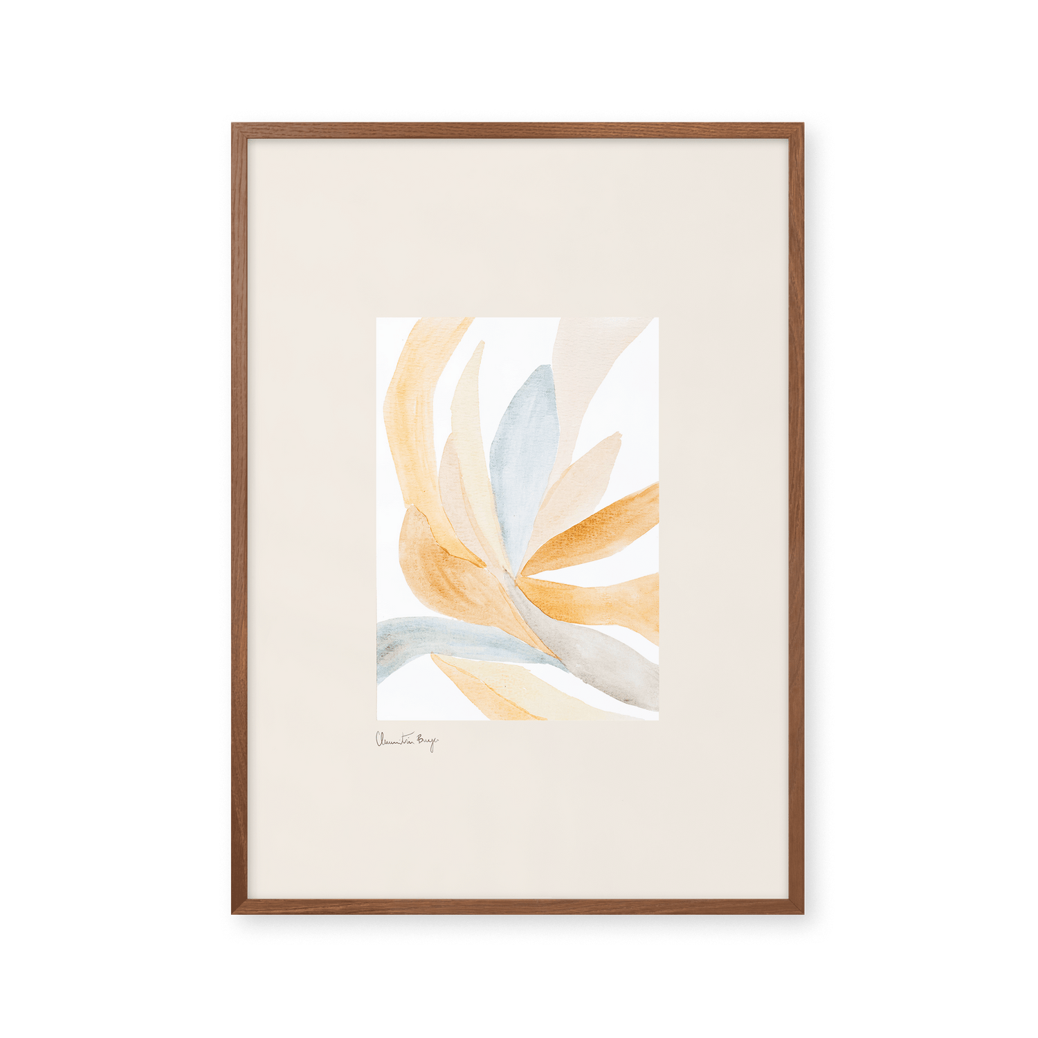 Contour - Orange