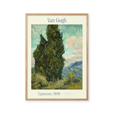 Cypresses