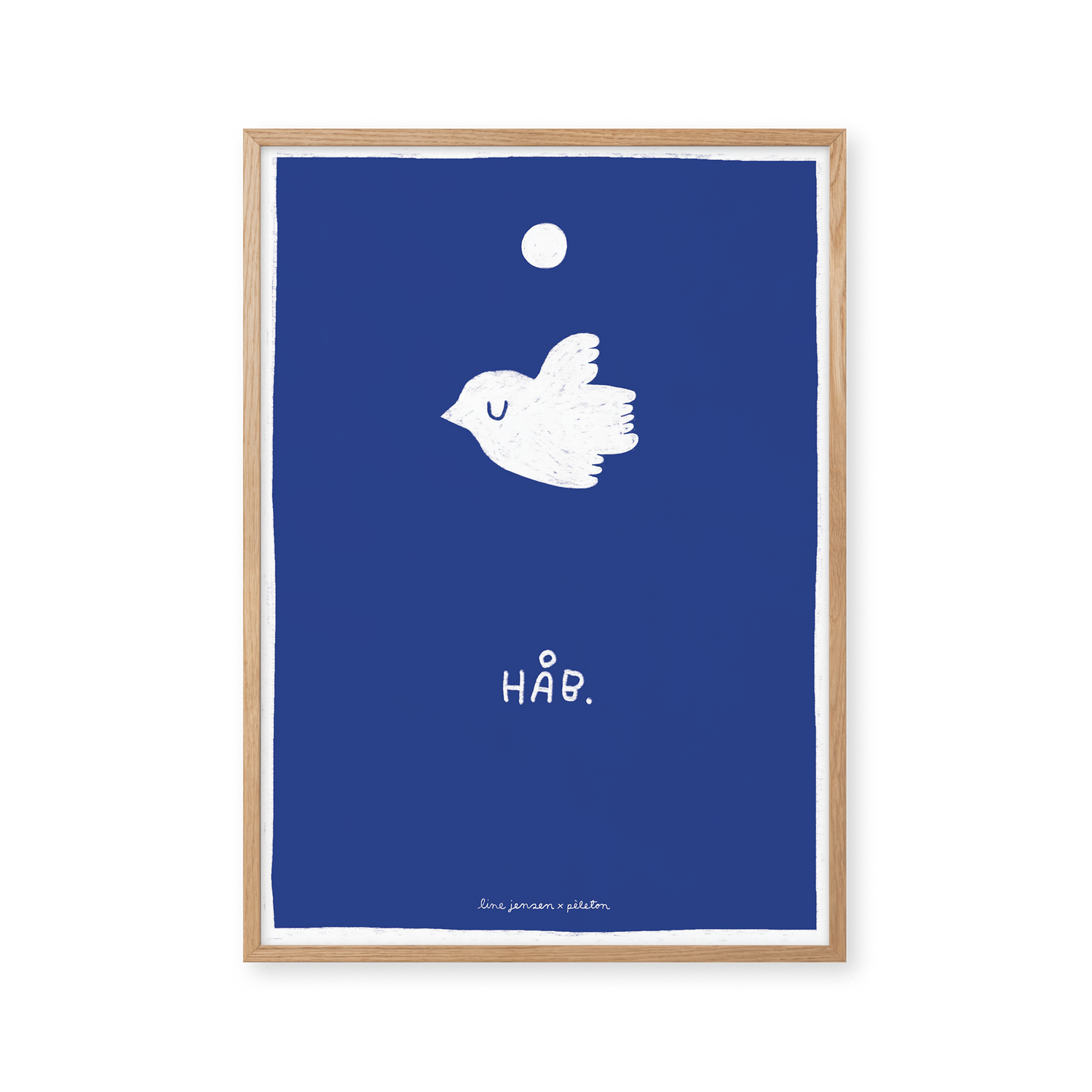 Taube - blau