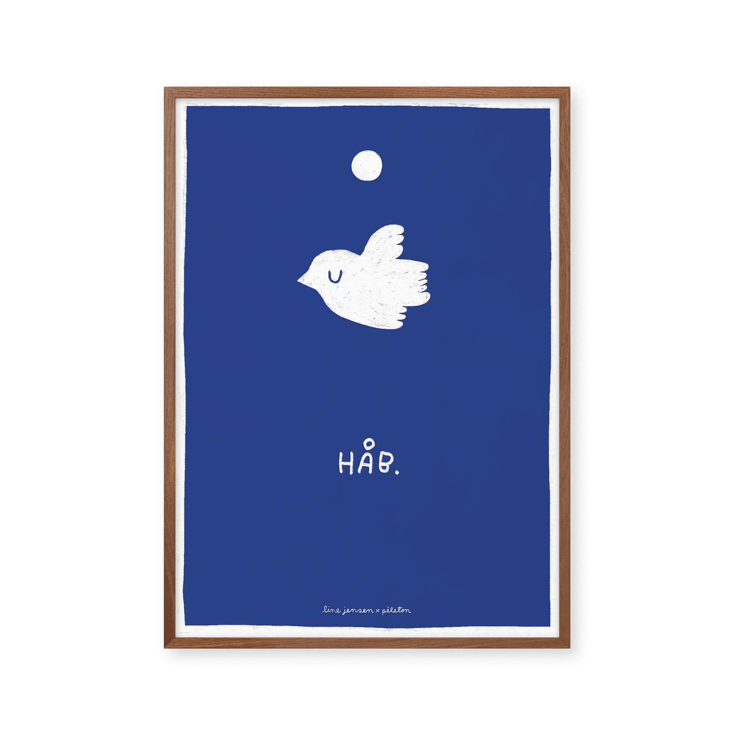 Taube - blau