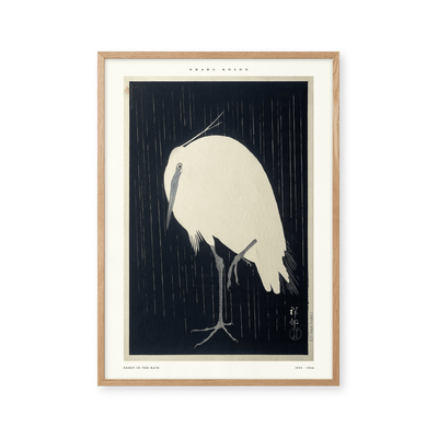 Egret in the rain
