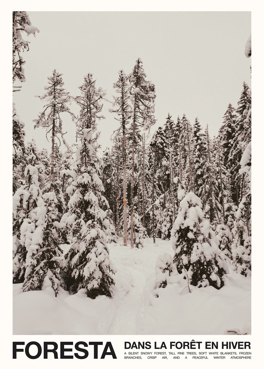 Foresta