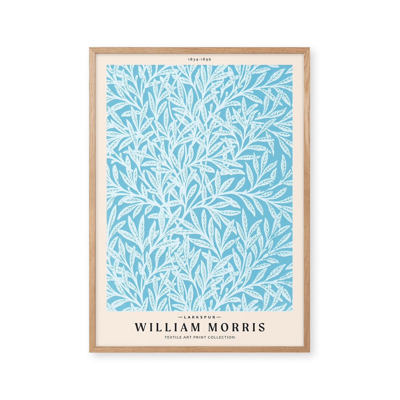 Larkspur Pel ton larkspur-pel-ton