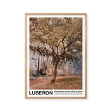 Luberon