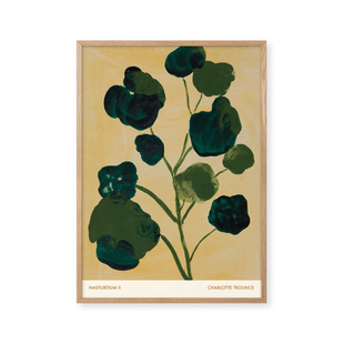 Nasturtium II