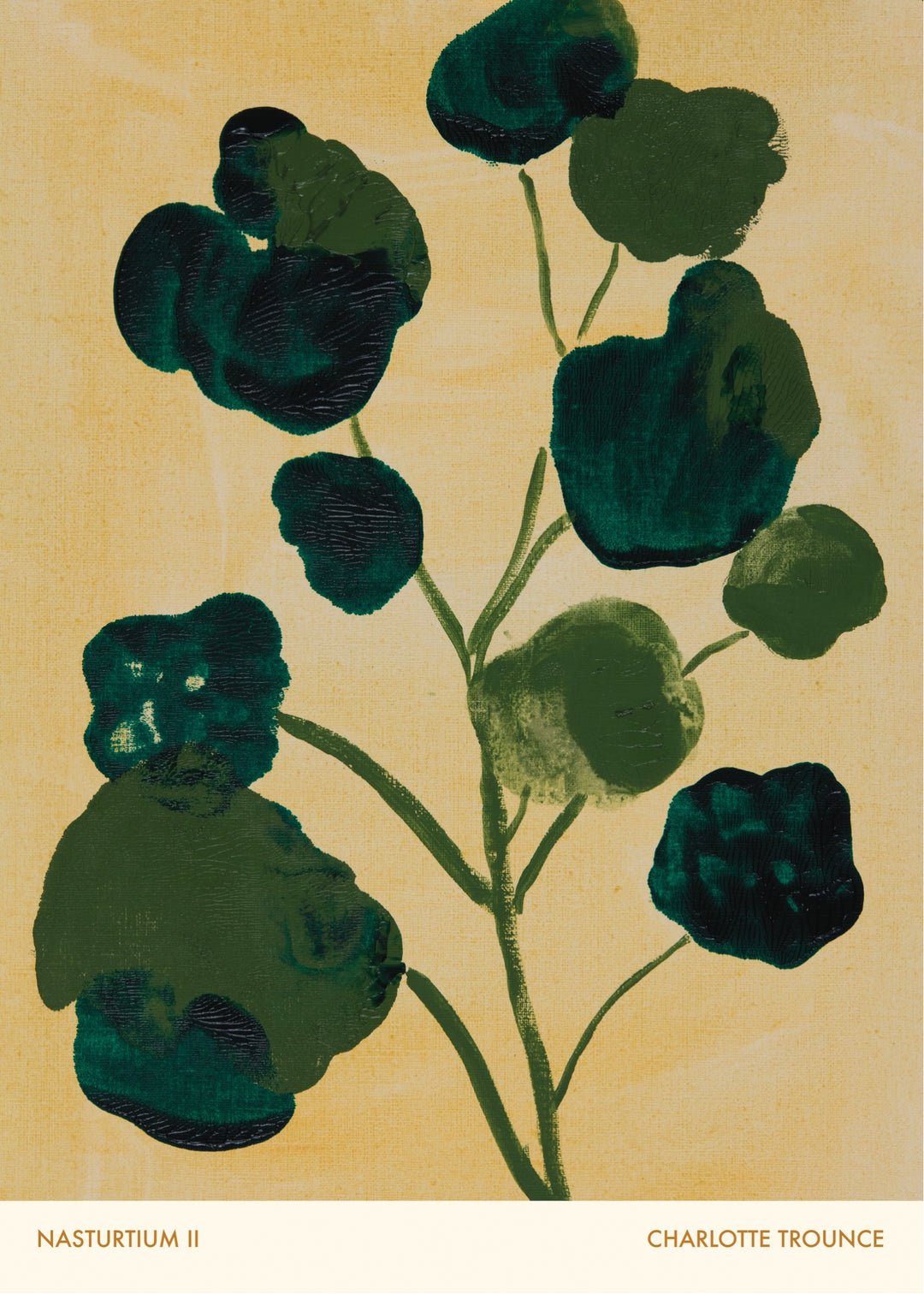 Nasturtium II