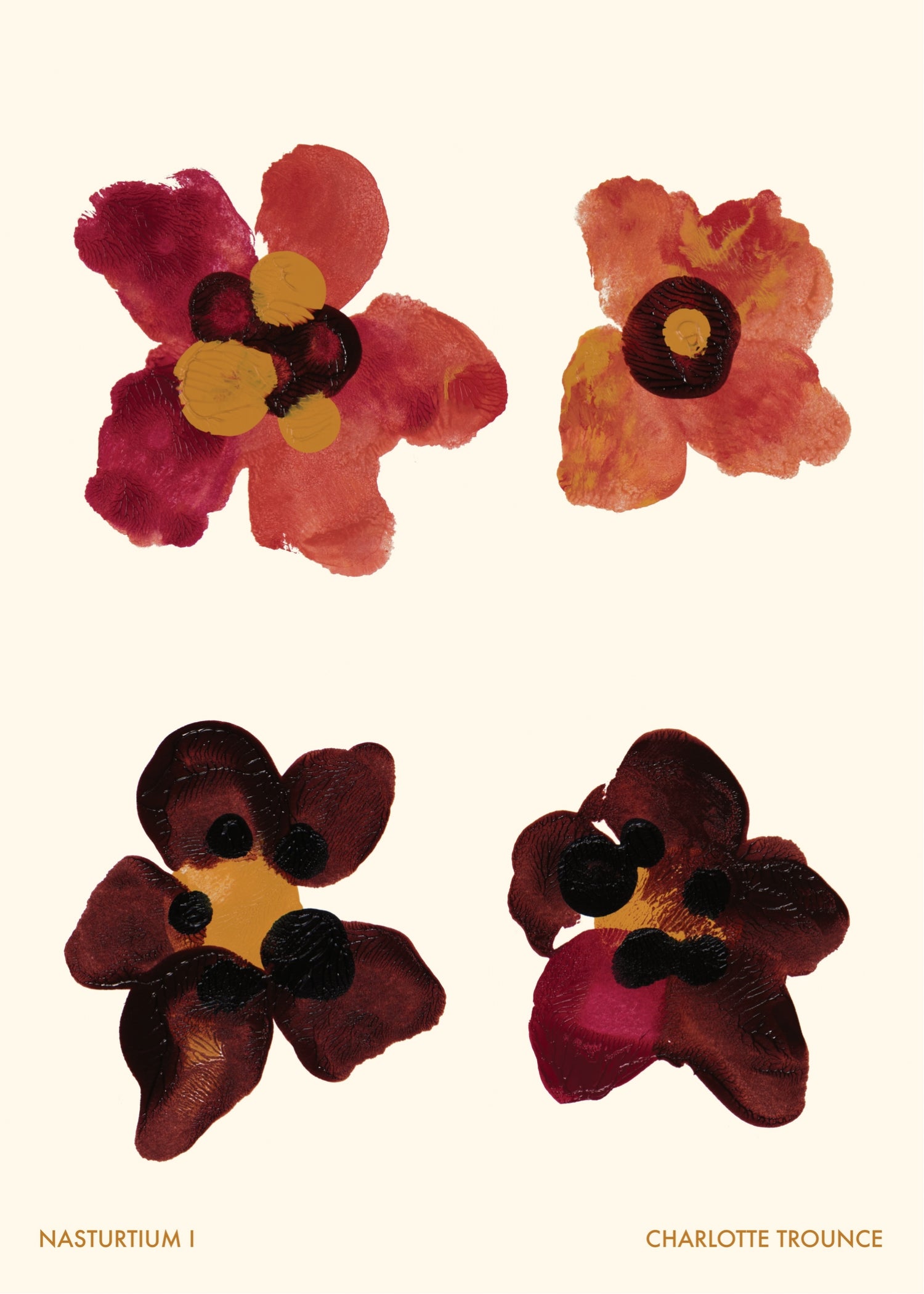 Nasturtium I