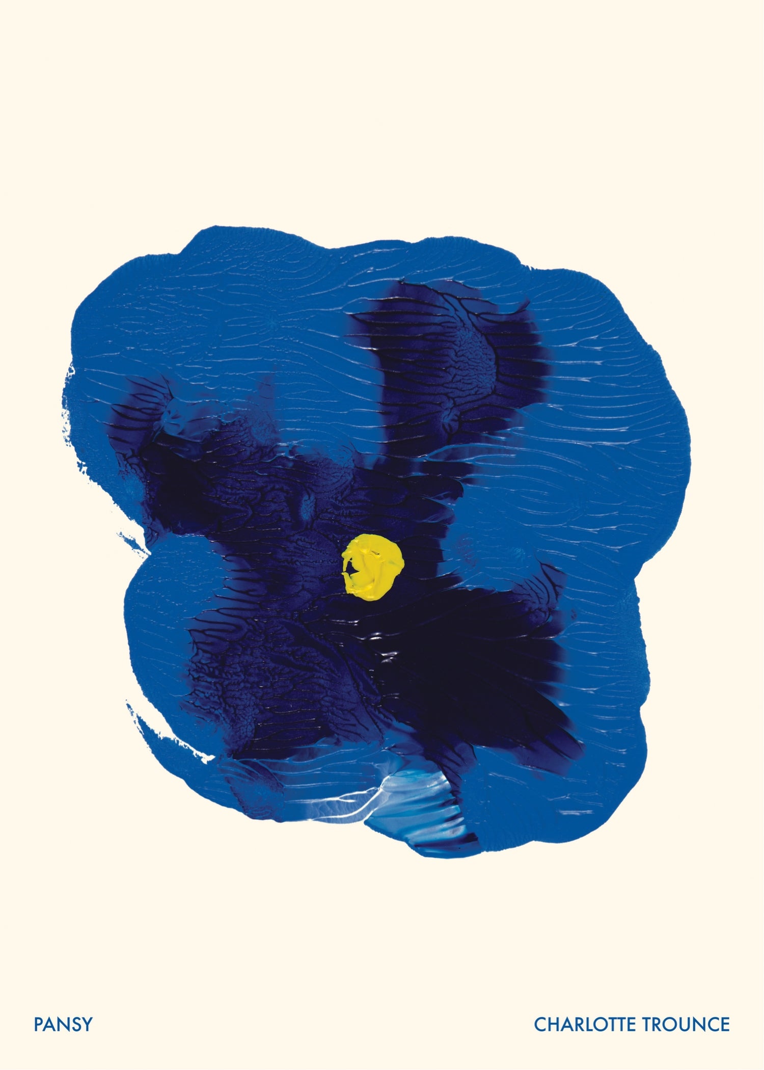 Pansy