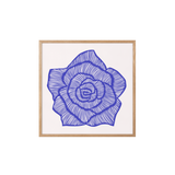 Rose – Blue