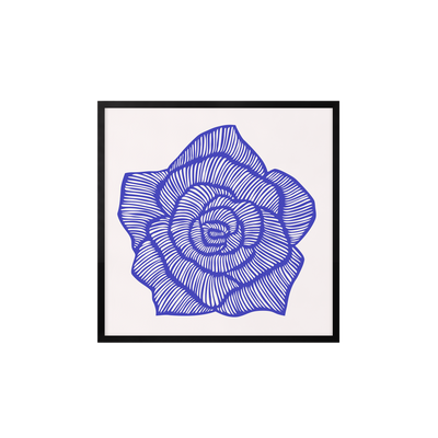 Rose - Blue