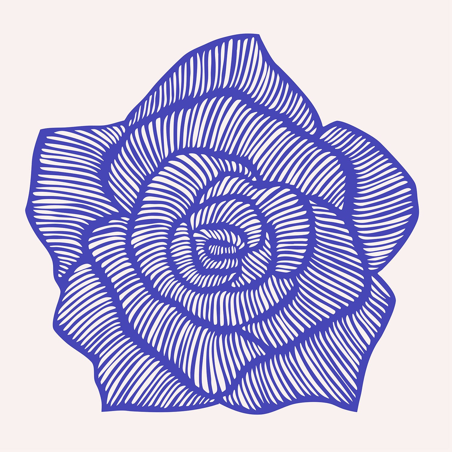 Rose – Blue