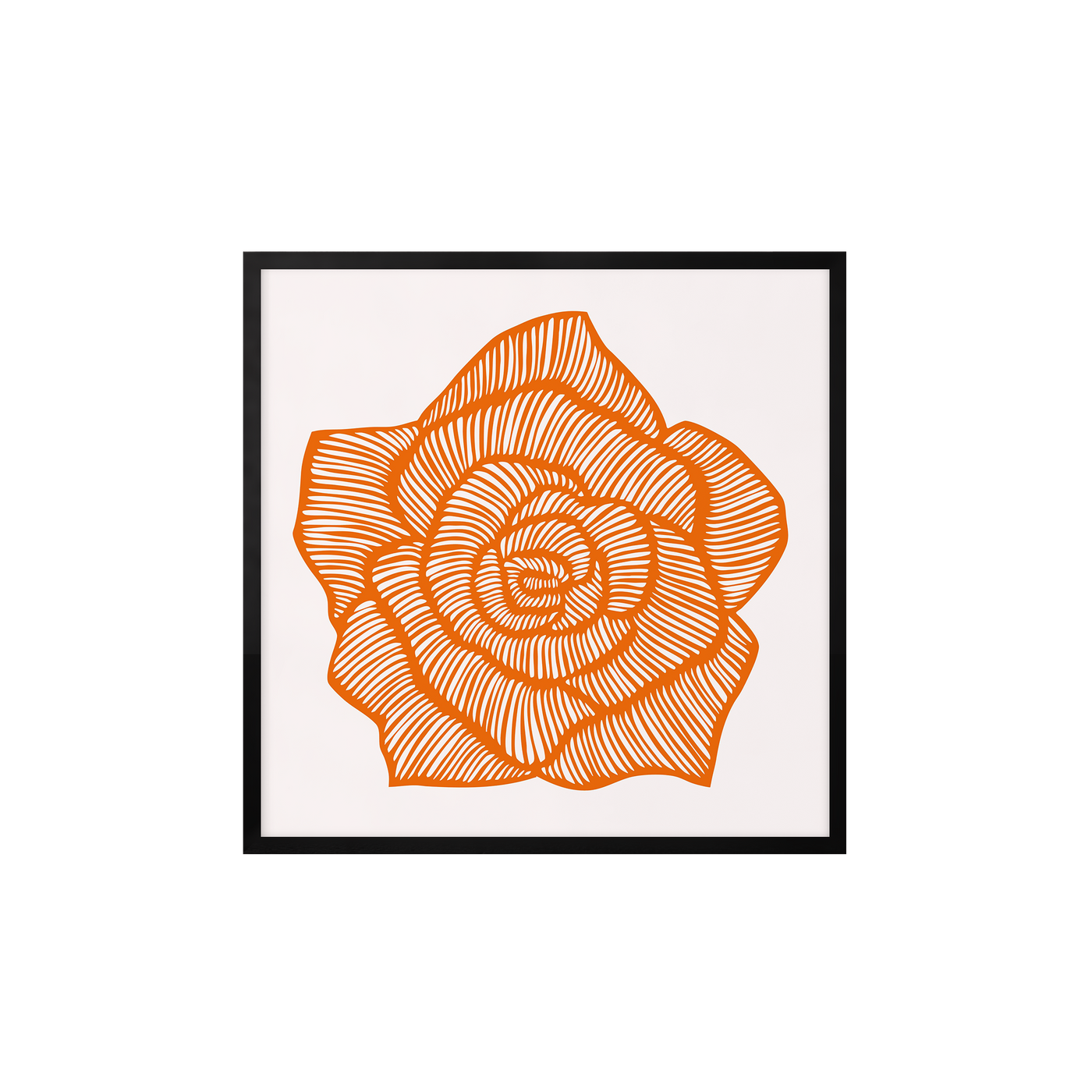 Rose - Orange