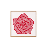 Rose – Red