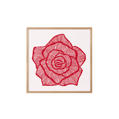 Rose – Red