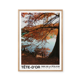Tete D’or