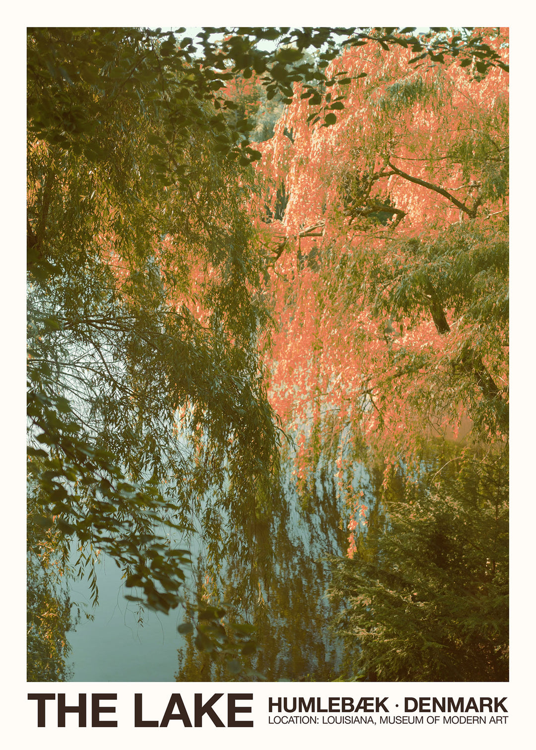 The Lake