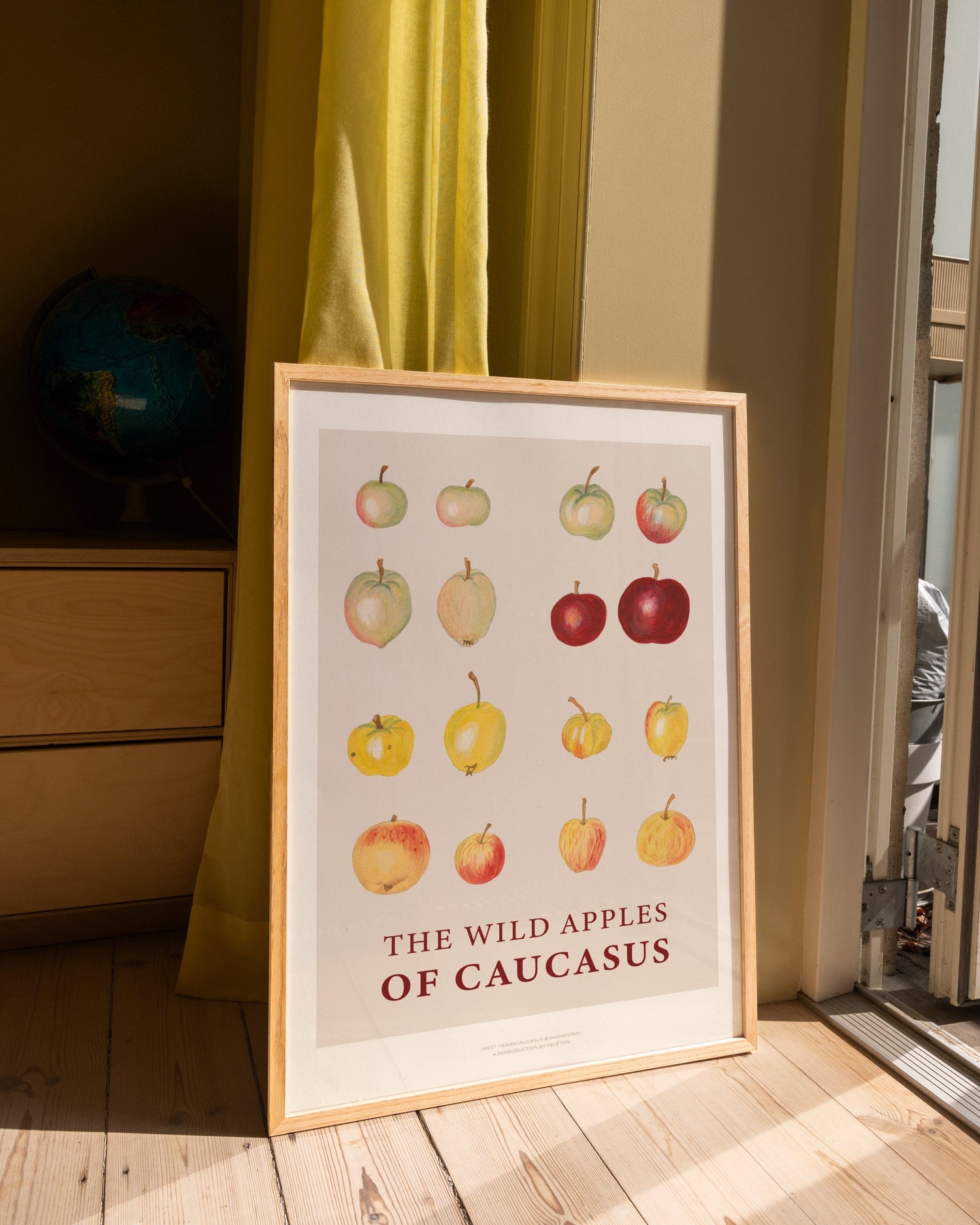 The Wild Apples Of Caucasus