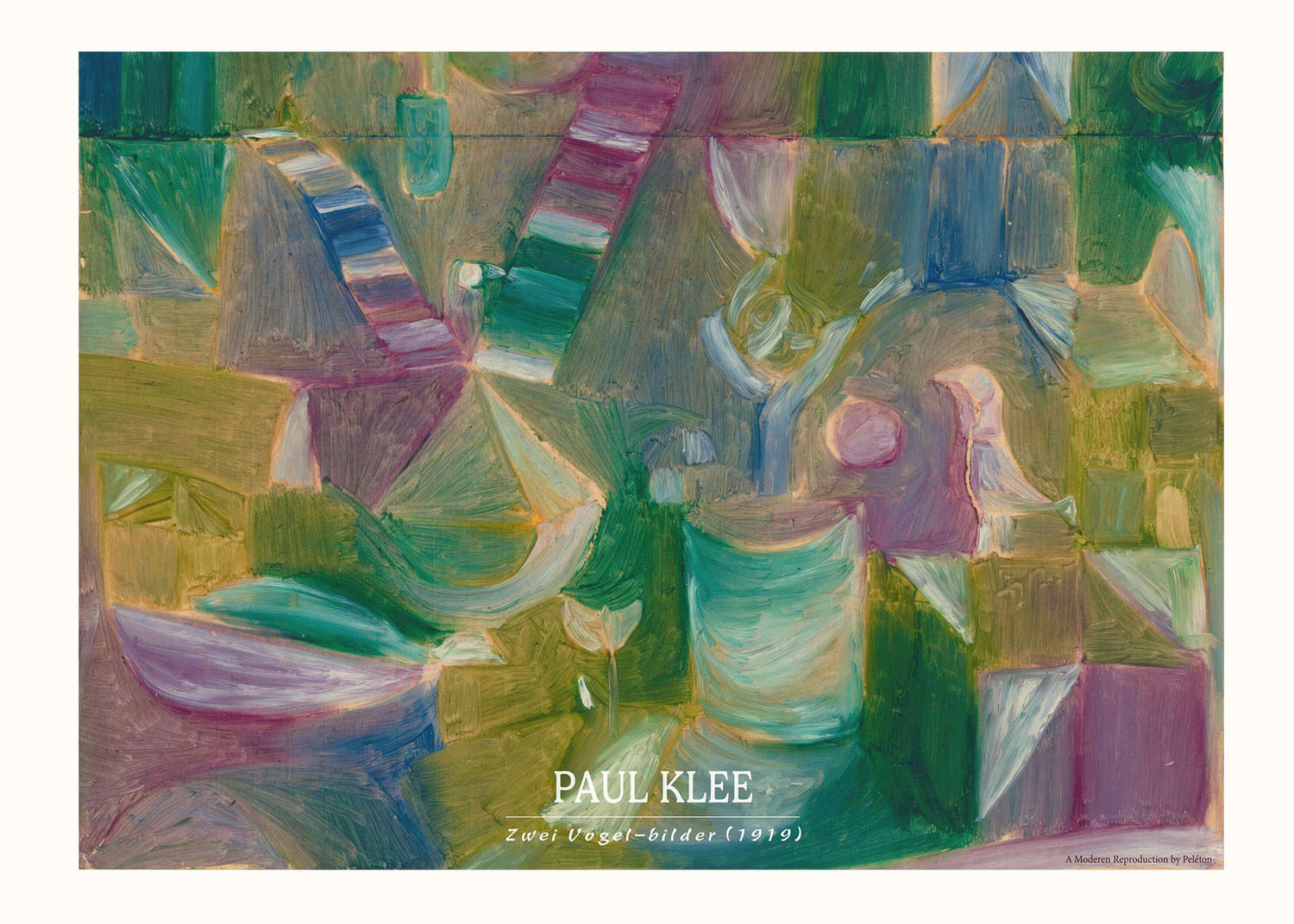 Zwei Vogel-bilder